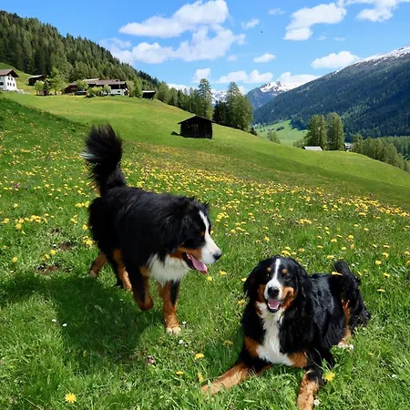 Naturedome Hof Camenisch *