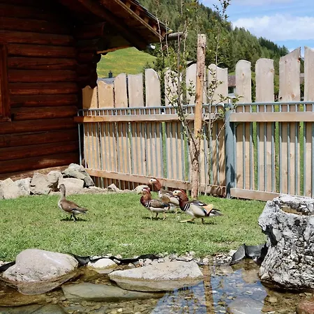 Naturedome Hof Camenisch Davos